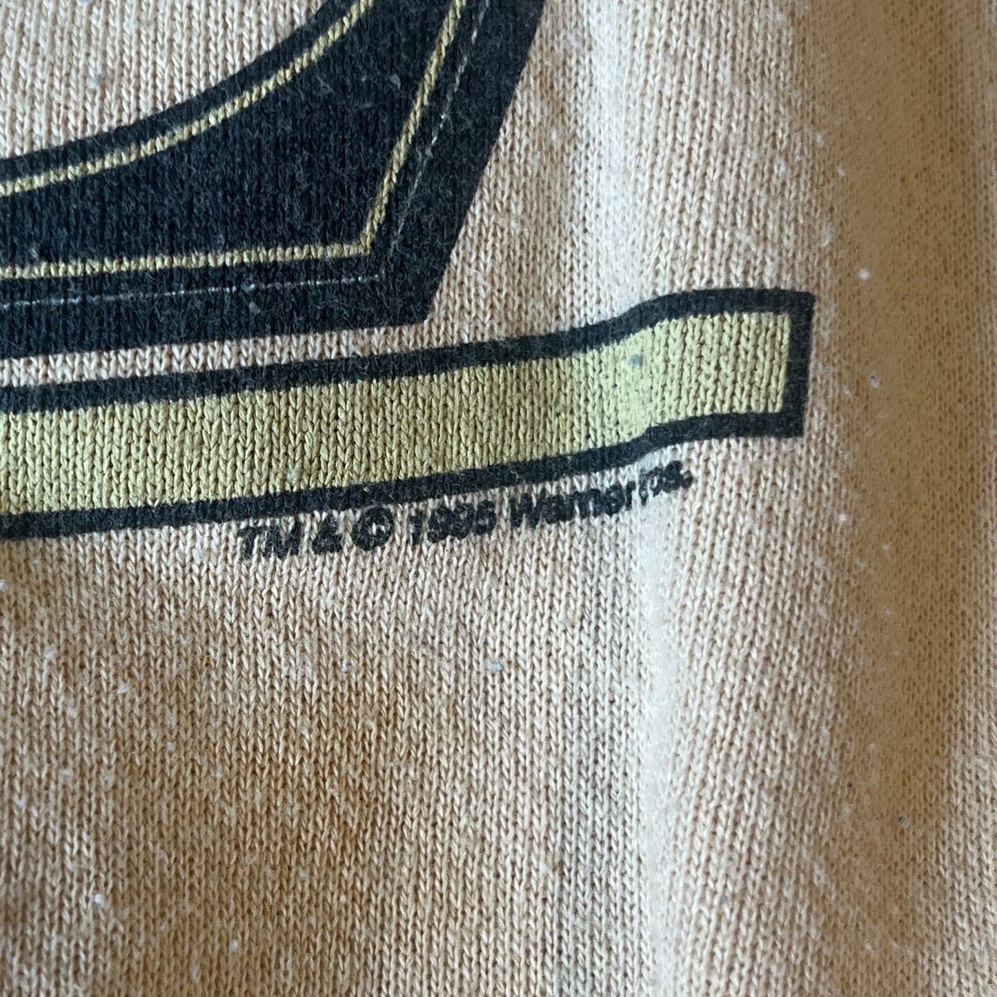 1995 Tasmanian Devil Looney Toons crewneck sweatshirt (XL)