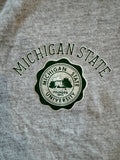 Michigan State jersey